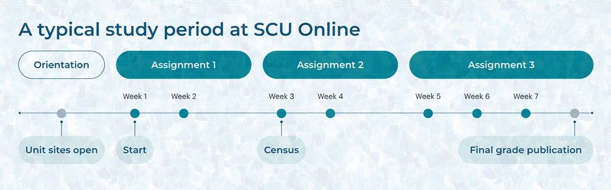 Typical study period at SCU Online